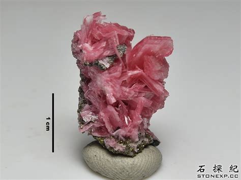 薔薇輝石左右手|Rhodonite 